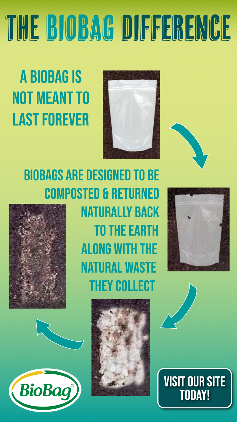 BioBag Instagram Campaign Slide 4