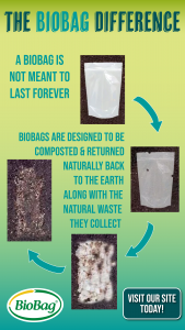 BioBag Instagram Campaign Slide 4